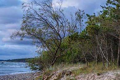 Aster数据统计领先联盟