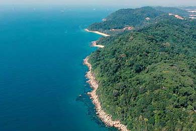 AC米兰豪取胜利，射手梅开二度助球队登顶，米兰最佳射手